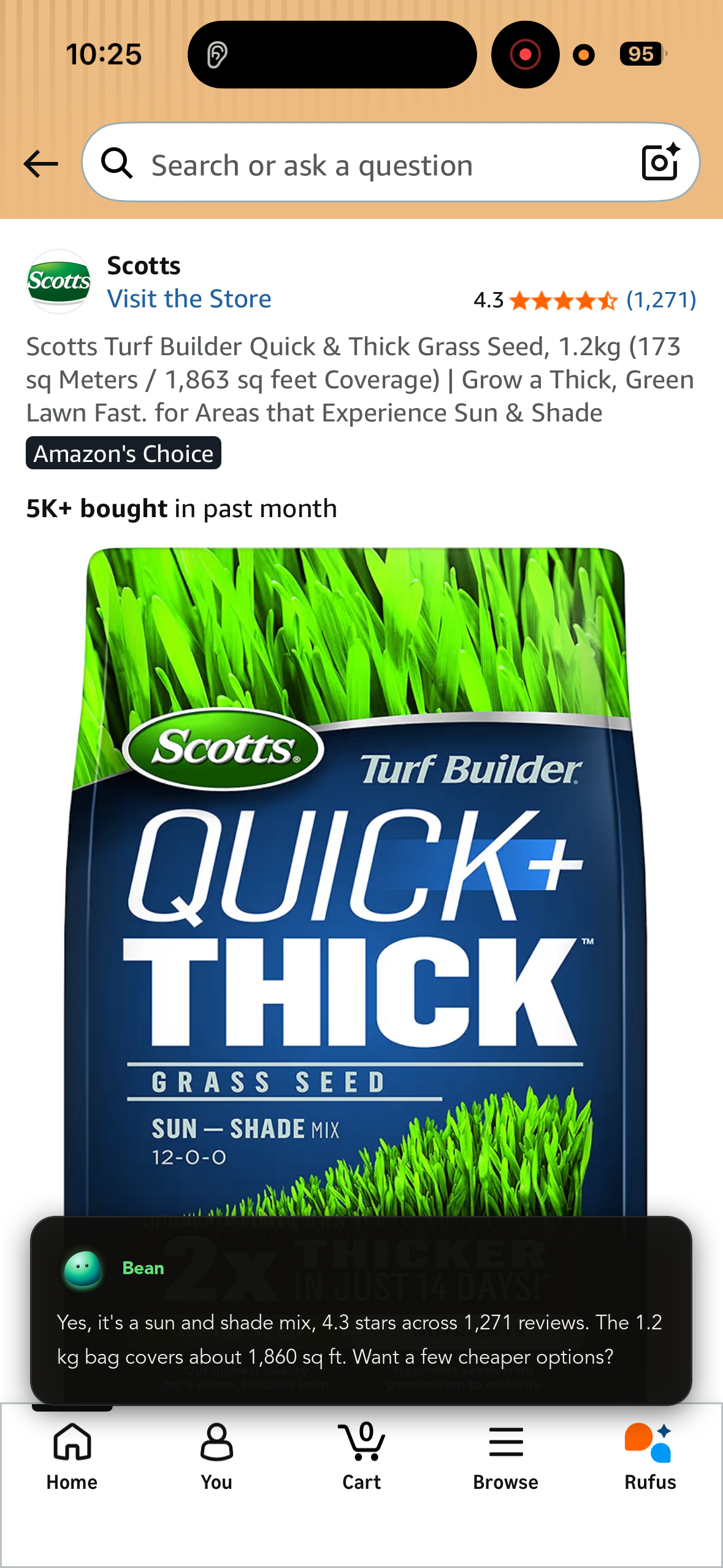 Bean answering a question about grass seed on a shopping page